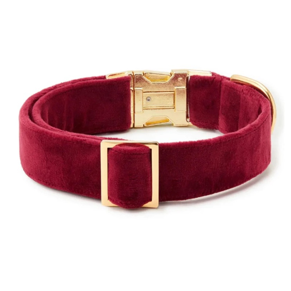 NEW The Foggy Dog Burgundy Velvet Dog Collar - Picture 6 of 7